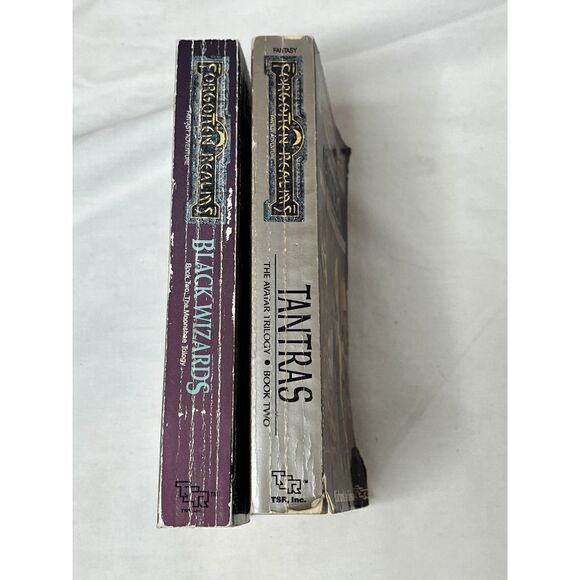 Forgotten Realms 1st 1st Trade Paperbacks Niles Awlinson Black Wizards Tantras - Picture 5 of 5